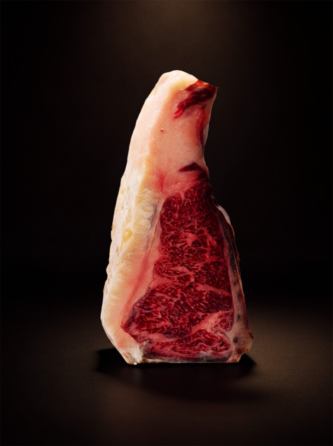 Chueltón de buey gallego con genetica wagyu japonesa Caydesa